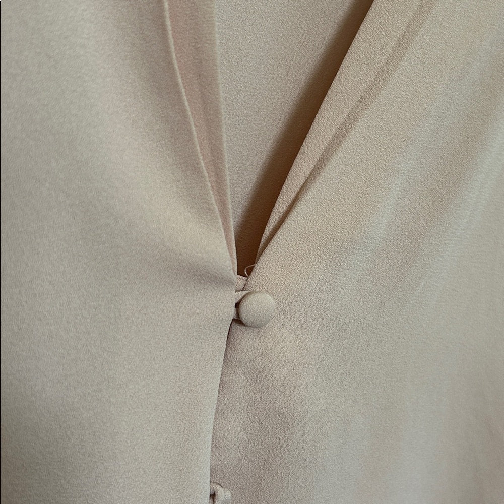 Forever 21 || Wilfred Soft Pink Button-Up Blouse - Picture 4 of 8